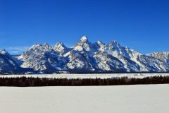 Tetons Under a Banner of Cobalt