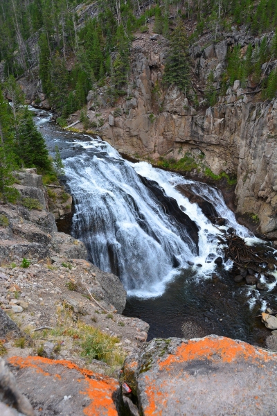 Gibbon Falls in Yellowstone National Park 1