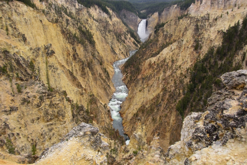 The Grand Canyon of Yellowstone