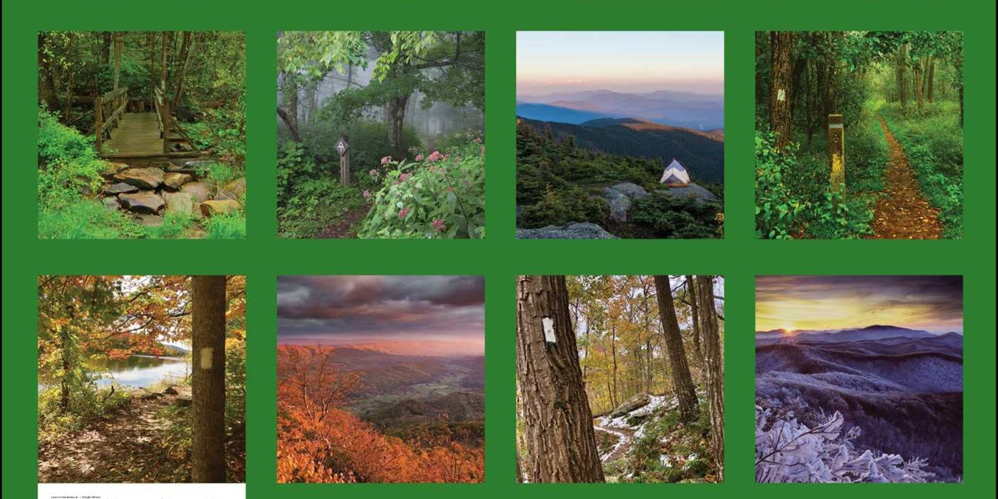 Raymond Salani III on WCVB ABC Chronicle