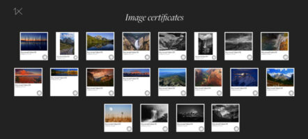 1X Published and Awarded Update